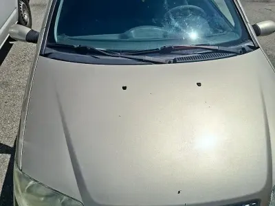 Usata Fiat Punto 60 CV (44 kW) 2007 Utilitaria