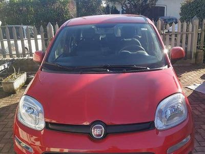 Usata Fiat Panda Lounge 69 CV (50 kW) 2020 Utilitaria