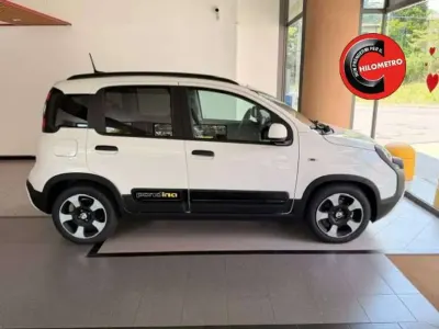Nuova Fiat Panda Cross Cross 65 CV (47 kW) 2026 Bianco Utilitaria