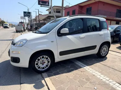 Usata Fiat Panda Easy 85 CV (62 kW) 2013 Bianco Utilitaria