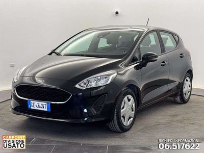 usata Ford Fiesta 5p 1.1 connect gpl s&s 75cv my20.75 GPL