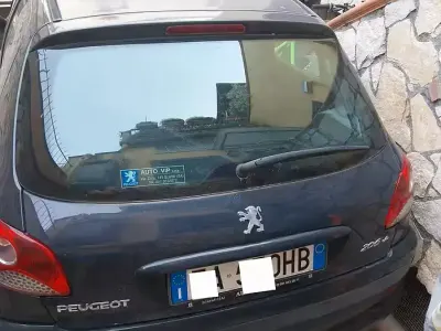 Usata Peugeot 206