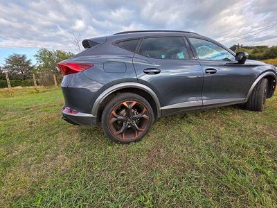 Usata Cupra Formentor 204 CV (150 kW) 2024 Grigio SUV