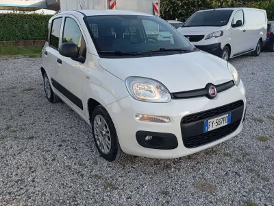 Usata Fiat Panda 69 CV (50 kW) 2019 Bianco Utilitaria