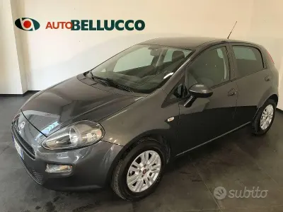 Usata Fiat Punto Lounge 77 CV (56 kW) 2017 Grigio Utilitaria