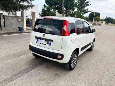 usata Fiat Panda 4x4 1.3 MJT Pop Van 2 posti ALLESTITA BANCO MORSA