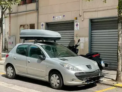 Usata Peugeot 206