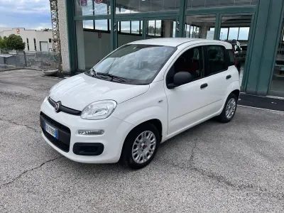 Usata Fiat Panda Easy 69 CV (50 kW) 2015 Bianco Utilitaria
