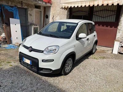 Usata Fiat Panda S 69 CV (50 kW) 2023 Bianco Utilitaria