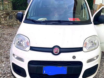 usata Fiat Panda 1.2 benzina / gpl anno 2016