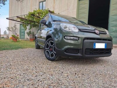 Usata Fiat Panda Street 69 CV (50 kW) 2021 Verde toscana Utilitaria