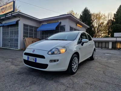 Usata Fiat Punto 69 CV (50 kW) 2014 Bianco Utilitaria