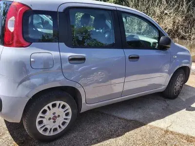 Usata Fiat Panda Easy 69 CV (50 kW) 2019 Utilitaria