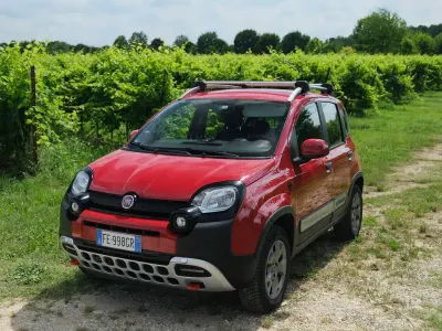 Usata Fiat Panda Cross Cross 95 CV (69 kW) 2016 Rosso Utilitaria