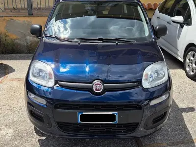 Usata Fiat Panda 69 CV (50 kW) 2020 Bluazzurro Utilitaria