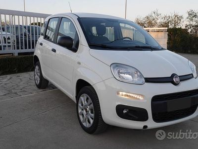 Usata Fiat Panda Lounge 84 CV (61 kW) 2019 Bianco Utilitaria