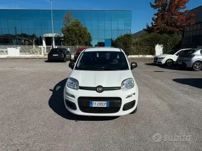 Usata Fiat Panda Easy 69 CV (50 kW) 2019 Bianco Utilitaria