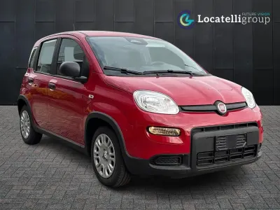 Usata Fiat Panda S 69 CV (50 kW) 2024 Bianco Utilitaria