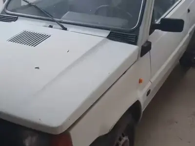 Usata Fiat Panda 39 CV (28 kW) 1996 Utilitaria