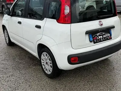 Usata Fiat Panda Lounge 69 CV (50 kW) 2014 Bianco Utilitaria