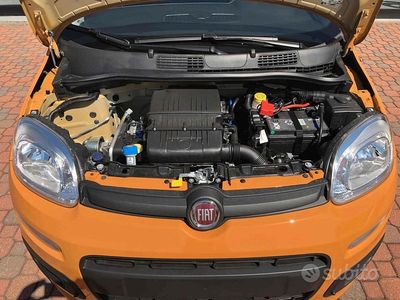 Usata Fiat Panda 70 CV (51 kW) 2020 Bianco Utilitaria