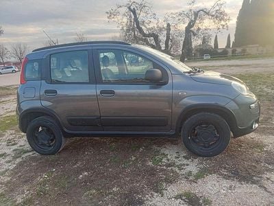 Usata Fiat Panda 4x4 69 CV (50 kW) 2017 Grigio Utilitaria