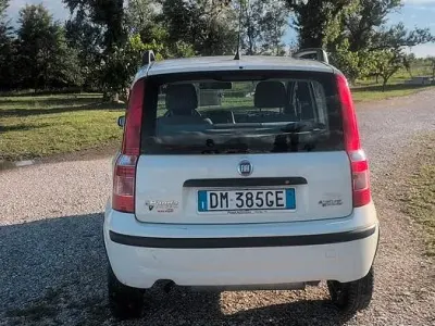Usata Fiat Panda 77 CV (56 kW) 2008 Bianco Utilitaria