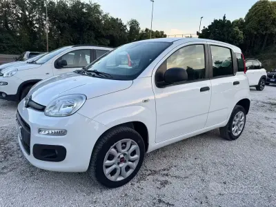 Usata Fiat Panda Easy 80 CV (58 kW) 2018 Bianco Utilitaria