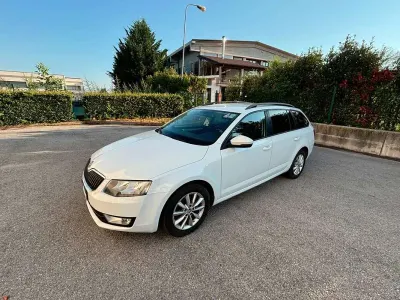 Usata Skoda Octavia Ambition 110 CV (80 kW) 2016 Bianco Station wagon