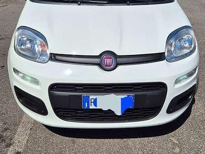 Usata Fiat Panda Easy 69 CV (50 kW) 2019 Bianco Utilitaria