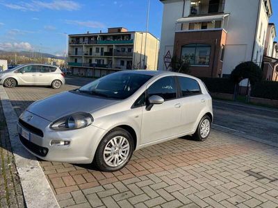 usata Fiat Punto Evo 5p 1.3 mjt Active s&s 75cv 2013