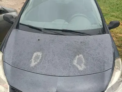 Usata Renault Clio II 68 CV (50 kW) 2006 Nero Berlina