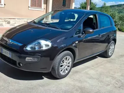 Usata Fiat Punto Evo Active 70 CV (51 kW) 2010 Nero Utilitaria
