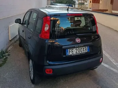 Usata Fiat Panda 75 CV (55 kW) 2016 Nero Utilitaria