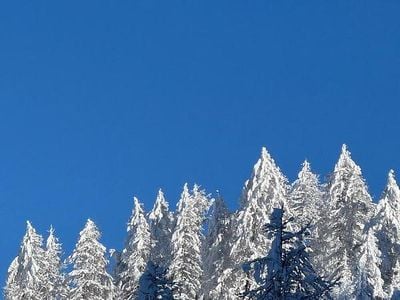 Usata Fiat 500 Sport 2016 Nero Utilitaria