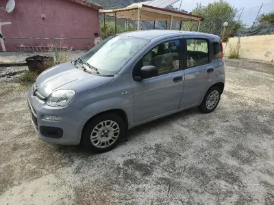 Usata Fiat Panda Easy 69 CV (50 kW) 2019 Grigio Utilitaria