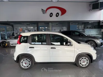 Occasion Fiat Panda 69 ch (50 kW) 2024 Blanc Citadine