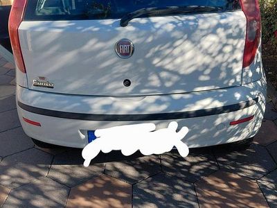 Bianco Usata 2009 Fiat Punto Berlina | 2500 €