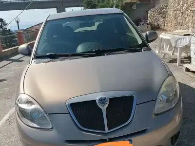 Usata Lancia Ypsilon 2010 Utilitaria