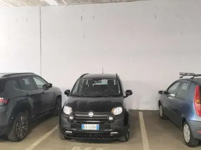 Usata Fiat Panda