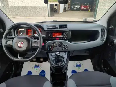 Usata Fiat Panda Easy 69 CV (50 kW) 2019 Utilitaria
