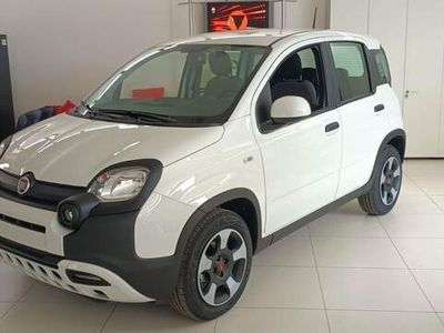 usata Fiat Panda Cross 1.0 FireFly S&S Hybrid City