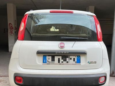 Usata Fiat Panda 85 CV (62 kW) 2014 Bianco Utilitaria