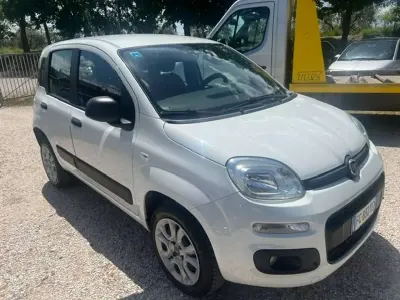 Usata Fiat Panda Lounge 84 CV (61 kW) 2016 Bianco Utilitaria