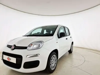 Nuova Fiat Panda Icon 65 CV (47 kW) 2026 Bianco Utilitaria