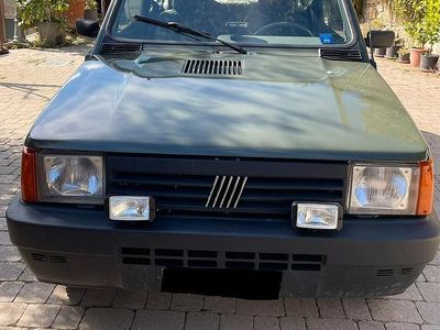 Usata Fiat Panda 4x4 50 CV (36 kW) 2002 Verde Utilitaria