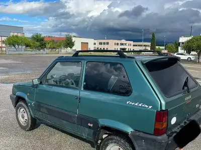 Usata Fiat Panda 4x4 50 CV (36 kW) 1999 Utilitaria