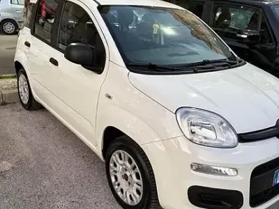 Usata Fiat Panda