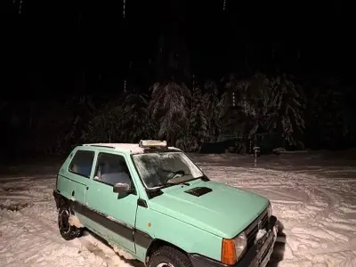 Usata Fiat Panda 4x4