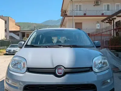 Usata Fiat Panda 85 CV (62 kW) 2019 Grigio Utilitaria